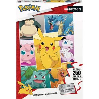 POKEMON – Puzzle – Types De Pokémon